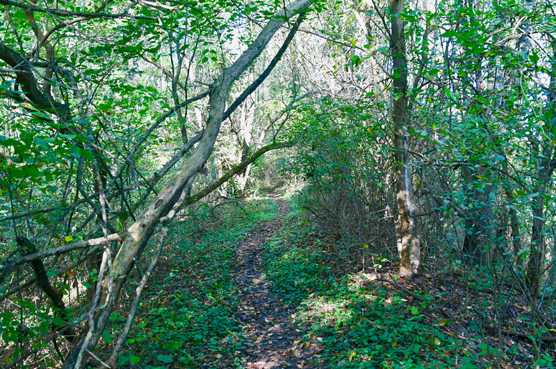 The DUMP Mountain Biking Trail